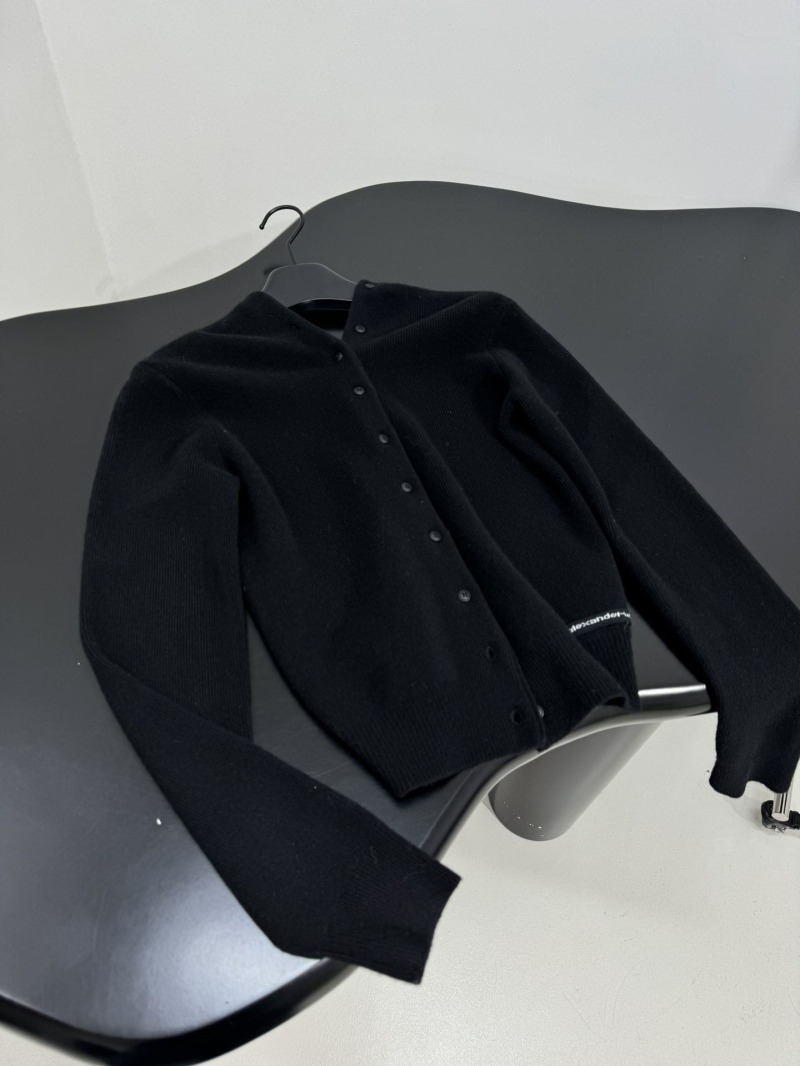 A1exa*der wang sweater